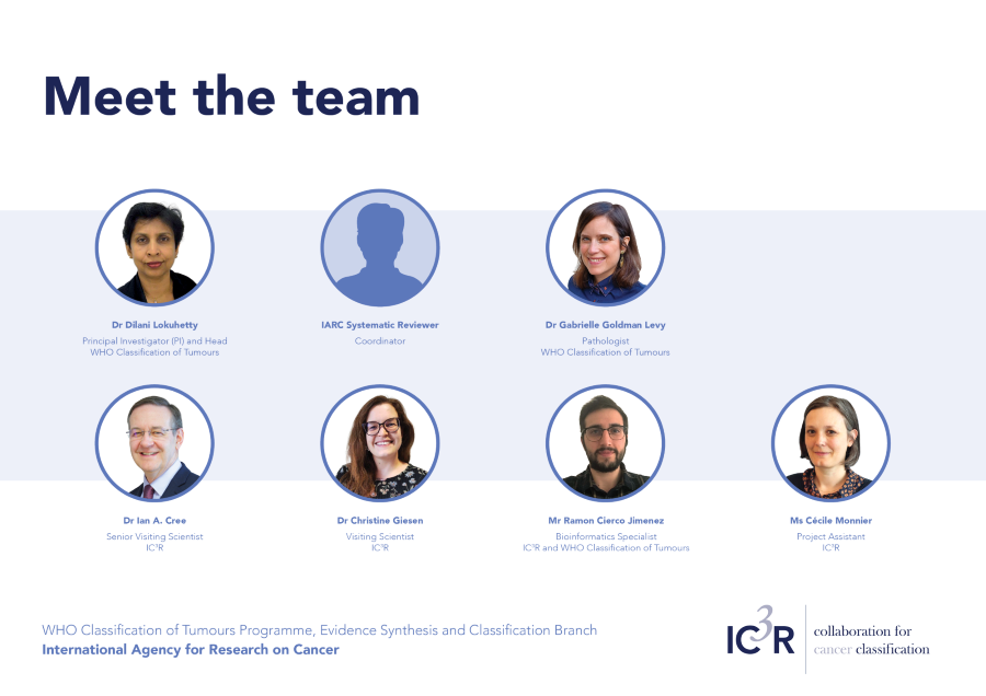 Meet the team
