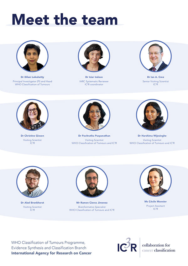 Meet the team